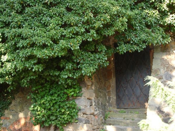 Zamek Książ - wybudowany w latach 1288-1292 przez księcia świdnicko-jaworskiego Bolka I Surowego . Od 1509 r. jako zastaw, a od 1605 r. wykupiony i wlasnosc dzi