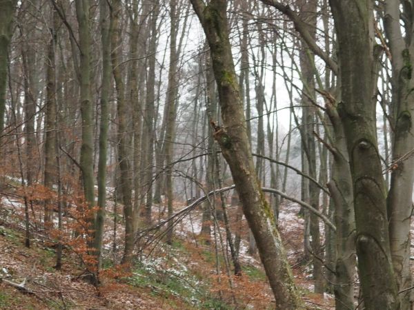 Hołuczków niegdyś był wsią z grodziskiem ufortyfikowanym, strzegącym  przedpola zamków m.in. na Sobieniu oraz w Sanoku, ta droga służyła komunikacji w potrzebac