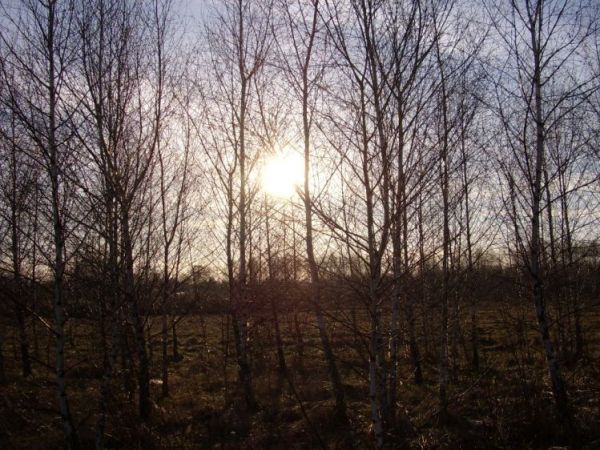 zdjecie Wierzchosławice