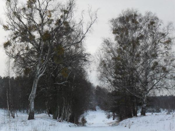 Widok na szlak solny dobiegający do wsi