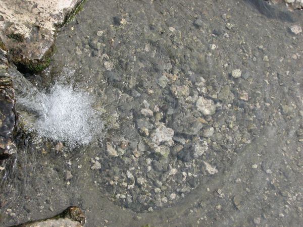 Serce w zrodle milosci 2011