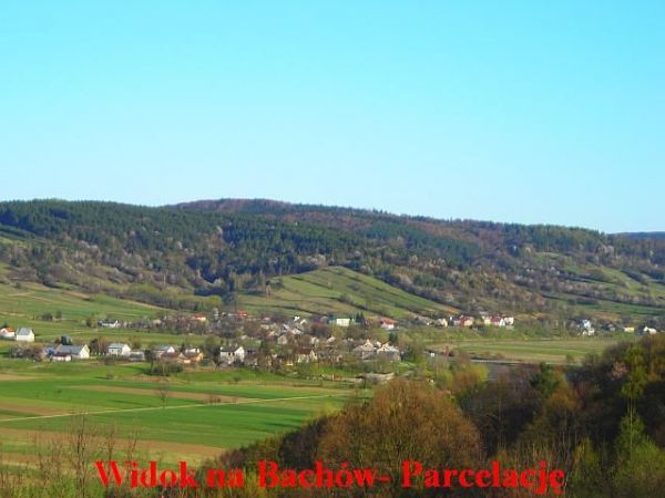 zdjecie Bachów