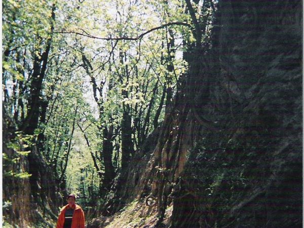 w Wąwozie Królowej Jadwigi