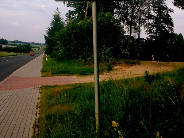 Zdjęcia Dąbrowa Widawska