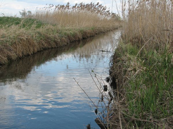 zdjecie Wólka Pukarzowska