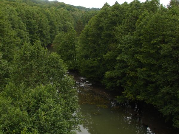 Widok z mostu na sciek w Koronowie