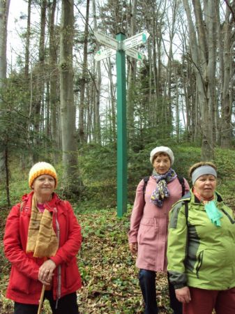 na rozstaju szlaków, tu na zboczu Góry Przedziwnej - 551m npm, a można na  Żabią Górę - 549m npm i dalej na Górę Glorieta - 550m npm względnie stąd na Górę Wini