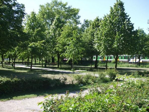 Skwer pomiędzy peronem kolejowym a ul. Zwycięstwa.