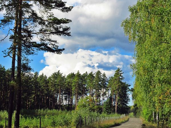 W drodze z Czarnej Wody do Wiecka