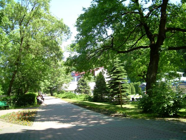 Sierpień 2006   Park Zdrojowy