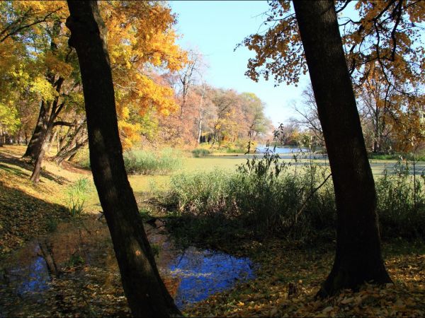 Park w Medyce − pochodzący z drugiej połowy XVI wieku (z reliktami z XIV i XVI wieku).