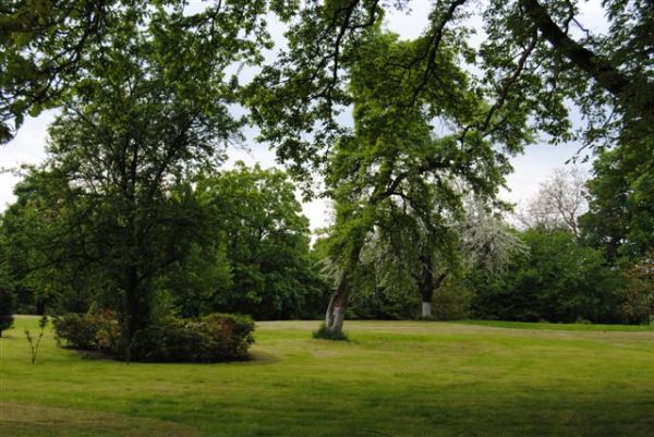 Zabytkowy park z XVIII wieku. Liczny w pomniki przyrody. Położony w sąsiedztwie z Pałacem. Położony około 200 metrów od głównej drogi A6 na trasie Szczecin - Ko