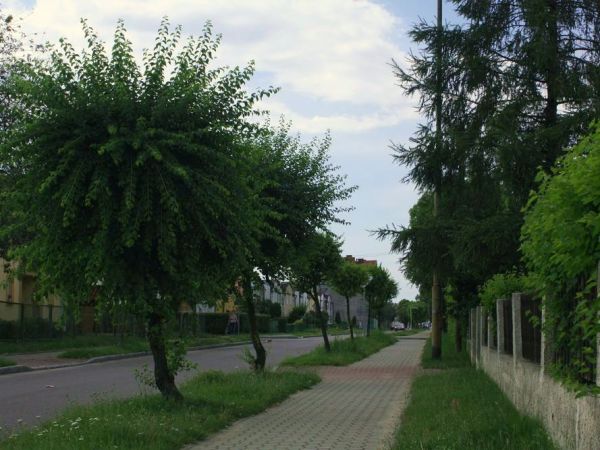 Ulica Targowa na tej samej wysokosci. Sporo tu ładnej, a wtym roku bujnej zieleni.