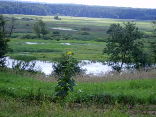 Dolina Wieprza nieopodal Krasnegostawu