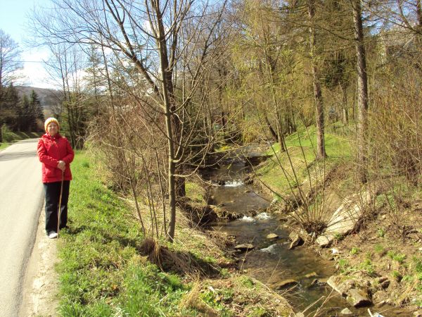 kaskadowe koryto potoku Flora - niegdyś zwał się Kąpacha, spływa ze zbocza g. Glorieta - 550m npm. Na mapie : błędna nazwa tego potoku. Ta droga zaś to główny h