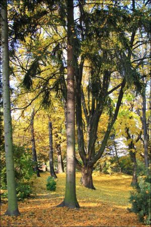 Klasztor i park  ss. Niepokalanek na Głębokiej.