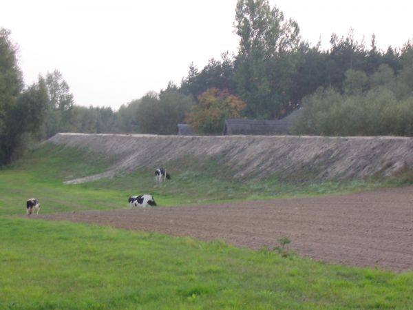 Tyrzyn  -  widok  na  wał przeciwpowodziowy