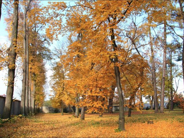 Klasztor i park  ss. Niepokalanek na Głębokiej.