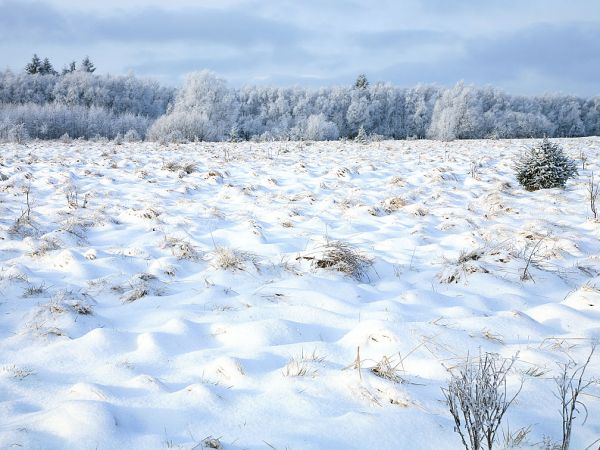 Zima w Pasterce w Górach Stołowych. Malutka, malownicza wioska u samego podnóża Szczelińca Wielkiego jest unikalną już oazą ciszy i spokoju zadziwiając przy tym