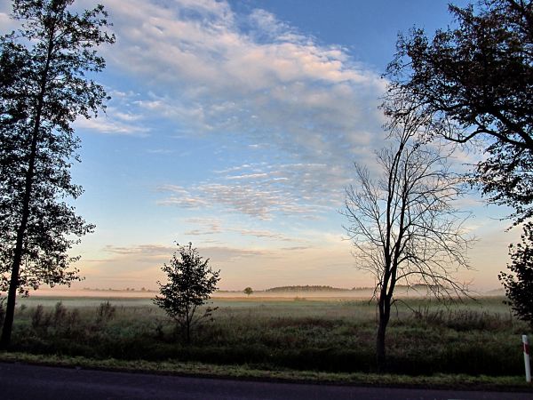 Poranna, jesienna mgła nad łąkami przy krajówce 22