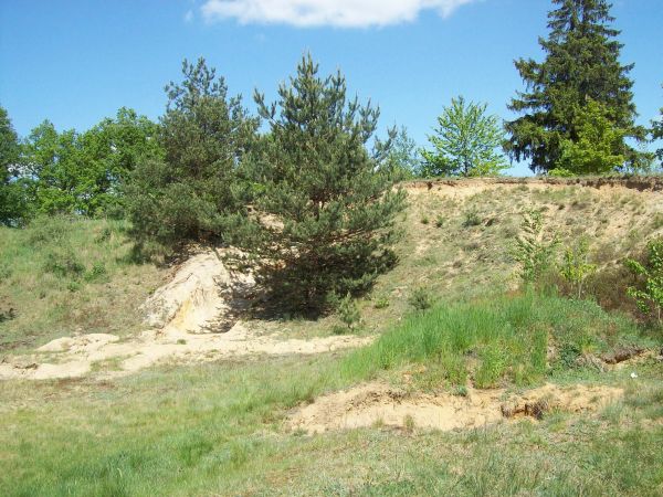 Skorzynice wieś.Dawniejsza żwirownia.