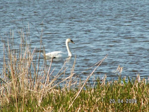zdjecie Gardna Wielka