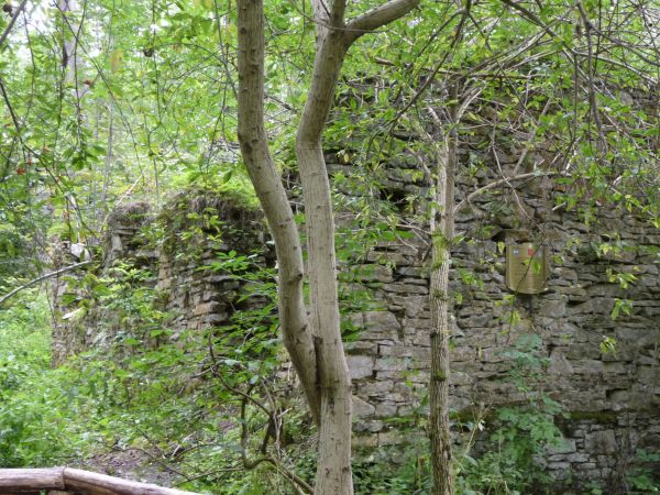 "CZARTOWE POLE"          Ruiny papierni