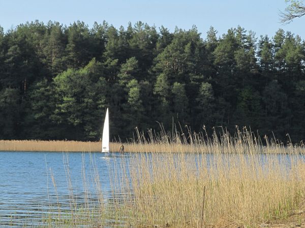 Na brzegu jeziora Wdzydze przy OW Largo