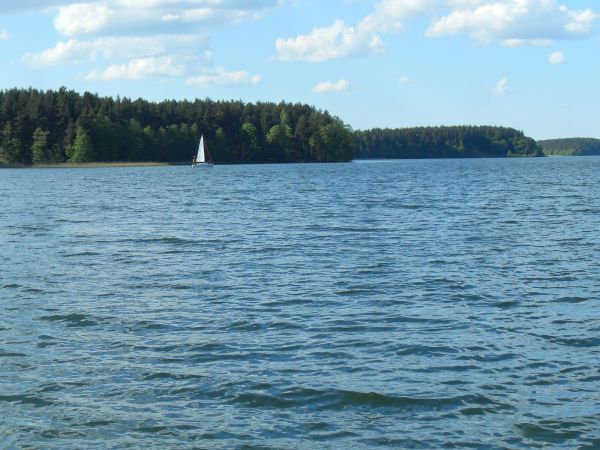 Panorama jeziora Wdzydze z plaży OW Czarnowodzianka