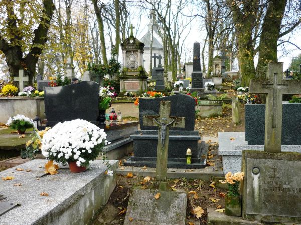 Nekropolia Nałęczowska z grobami znanych poetów , pisarzy , malarzy itp.