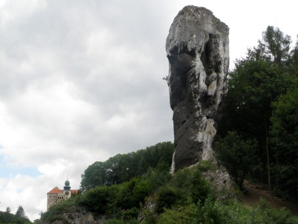 Widok na zamek spod Maczugi Herkulesa.
Maczuga Herkulesa – zbudowana z twardych wapieni skalistych maczuga skalna znajdująca się w Pieskowej Skale na obszarze