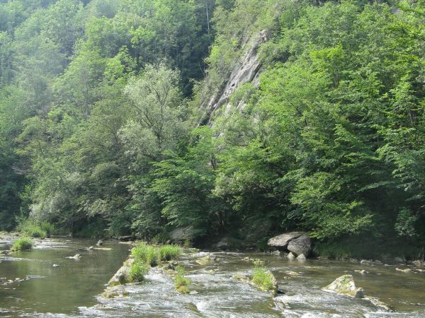 Na Ziemi Sanockiej jest dużo ciekawych, nasyconych urokami miejsc. Niektóre potrafią też swym pięknem  - zaskoczyć. Tak też jest z przełomem Wisłoka między Mymo