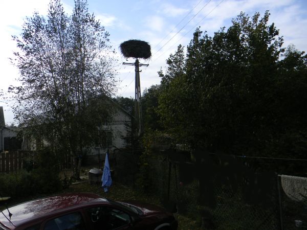 Zwola Poduchowna - 27 wrzesień 2012