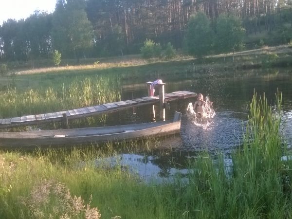 Staw w "Wieczornych Mgłach"