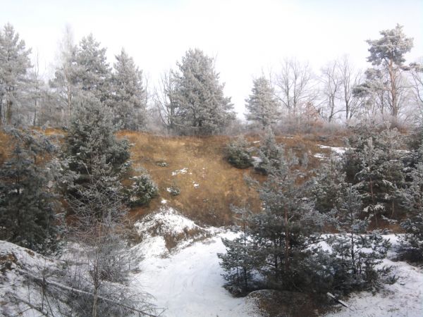 zdjecie Piotrowice Małe