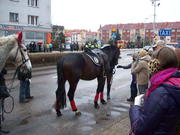 Postój TAXI koło Katedry