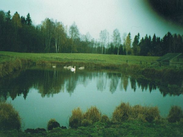 Staw Państwa Radzewicz