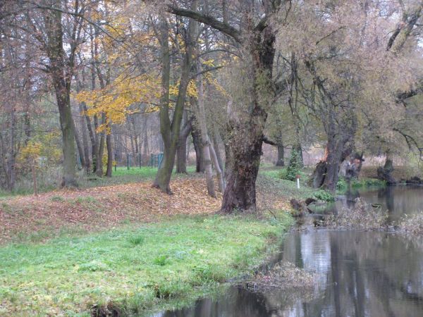 zdjecie Starogard Gdański