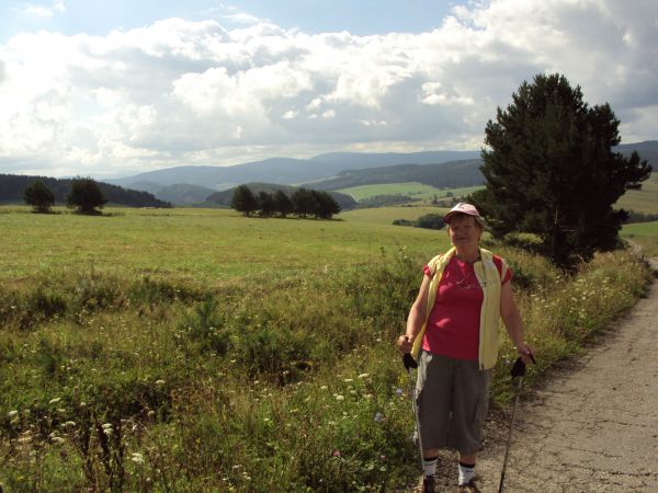 "Babne" - przysiółek,  w kierunku wschodnim rozciąga się pas kotlin, poprzedzielanych garbami nieznacznych wzniesień -  panorama na Bieszczady i Beskid Niski, r