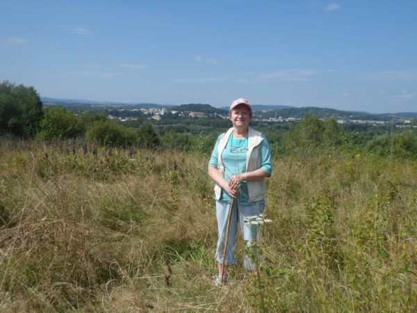 z wierzchowiny nad poligonem, hen na wprost : zamek i dalej Góra Parkowa a po prawej Glinice.