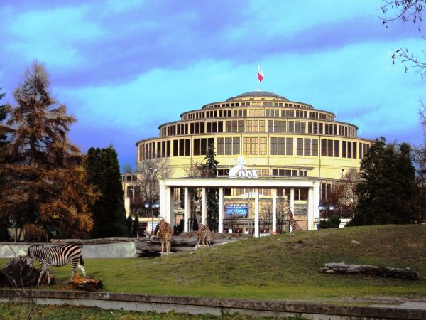 Widok na Halę Stulecia z terenu ZOO.