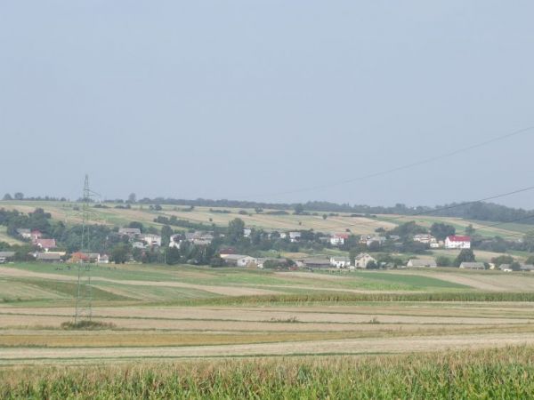 zdjecie Małochwiej Mały