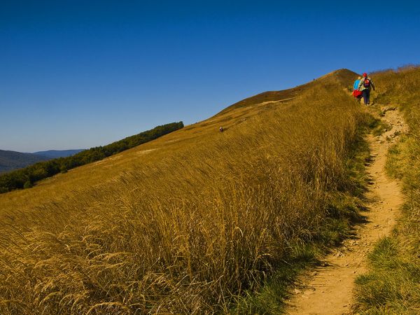 Połonina Caryńska-Ustrzyki Górne