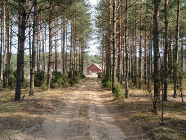 zdjecie Waliły-Stacja