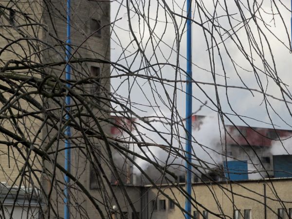 Widok z okien Urzędu Miasta na zakład płyt, Steico. Te białe obłoki wydostające się z kominów, to para wodna, główny mechanizm napedzający produkcję.