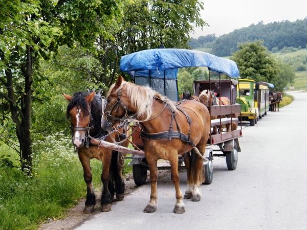 zdjecie Huta Szklana