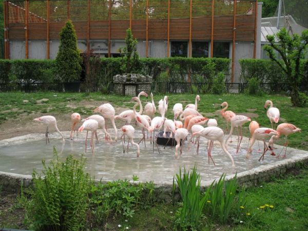 ZOO Kraków