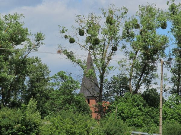 Wieża kościoła z ulicy Wdeckiej