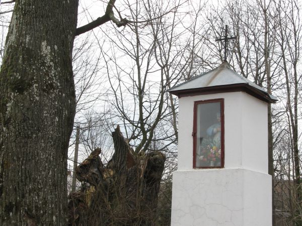 kapliczka przydrożna, zabytkowa zapewne, do zwyczaju należało sadzenie drzew przy krzyżach, kapliczkach oraz figurach - a te tu, na zdjęciu widać, że są naprawd