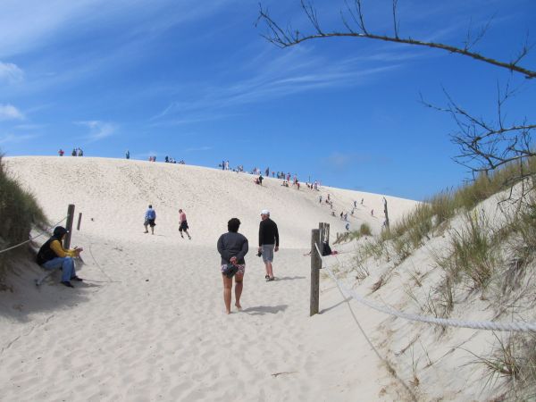 Ruchome wydmy przy Górze Rąbce